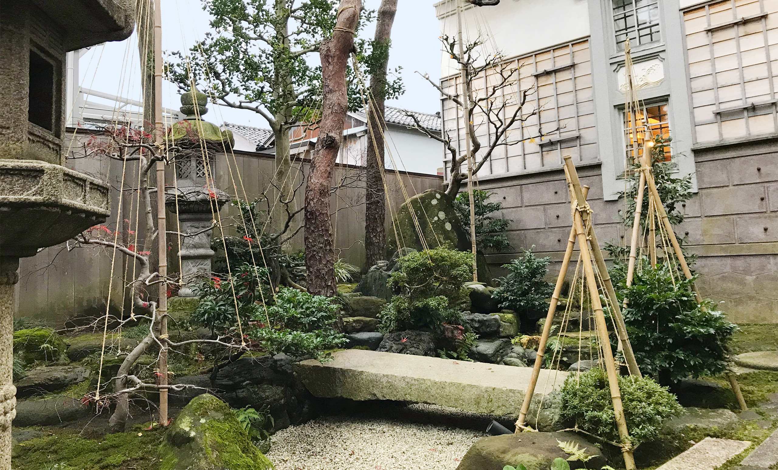 雪吊り作業 有 兼六造園 石川県金沢市の造園業 庭造り 作庭 植木屋 樹木医 樹木治療 外構工事 ガーデニング