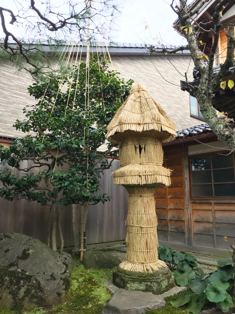 【中古】 庭木の手入れと雪吊り カラー図解でよくわかる/金園社/中山草司 庭木の手入れと雪吊り カラー図解でよくわかる/金園社/中山草司
